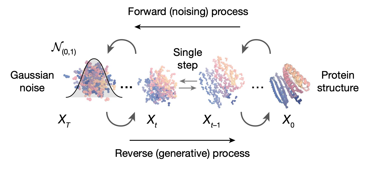 RFdiffusion process