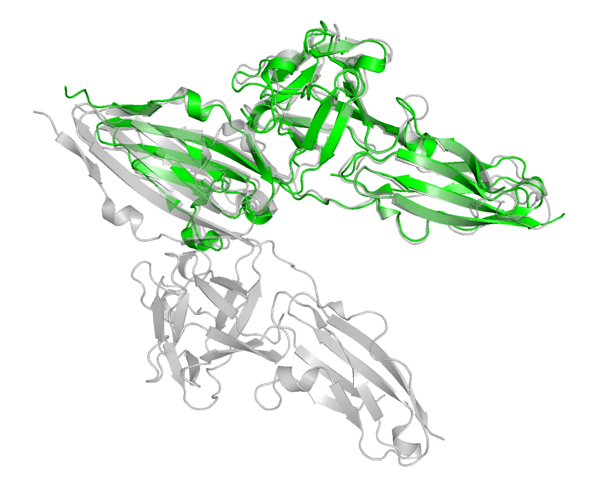 Structural overlay of FGFR2 and FGFR1