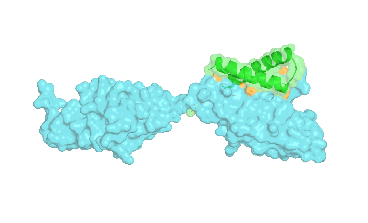 Generated binder shown in green next to the cyan target