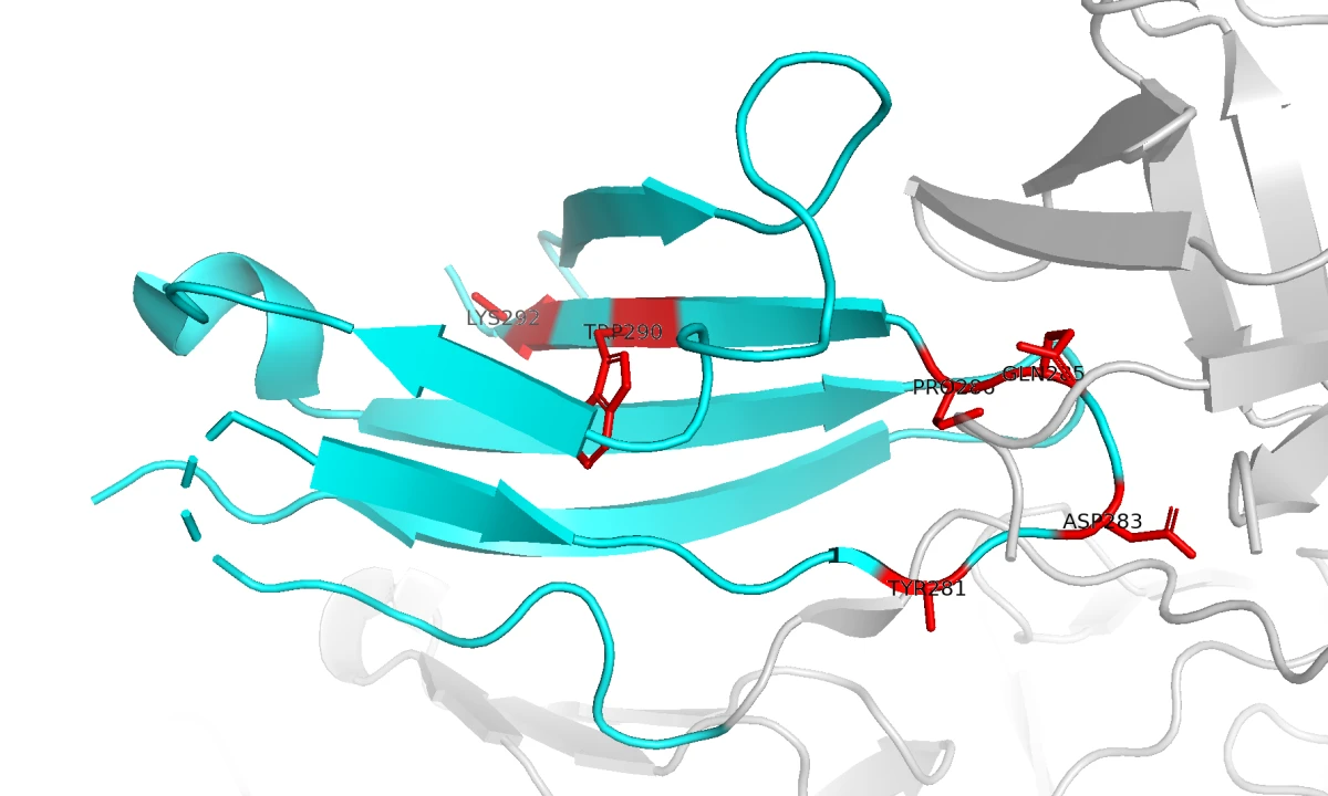 Selected FGFR2 hotspot residues highlighted in red